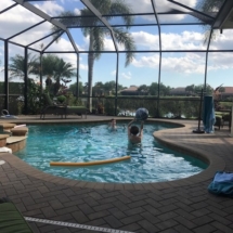 Playing in the Pool